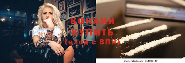 прущие грибы Абинск