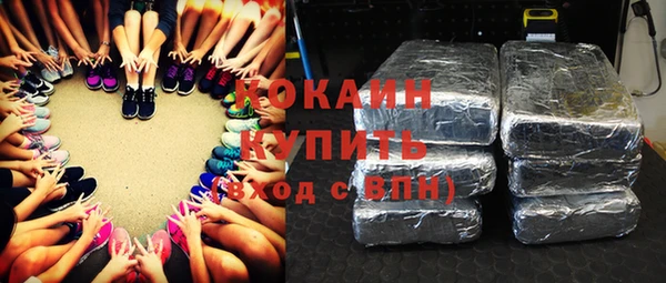 прущие грибы Абинск