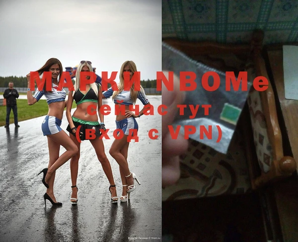 прущие грибы Абинск